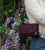 MW Rose Plum in Calfskin